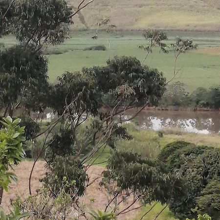 Serendipity Country House Amanzimtoti Eksteriør billede